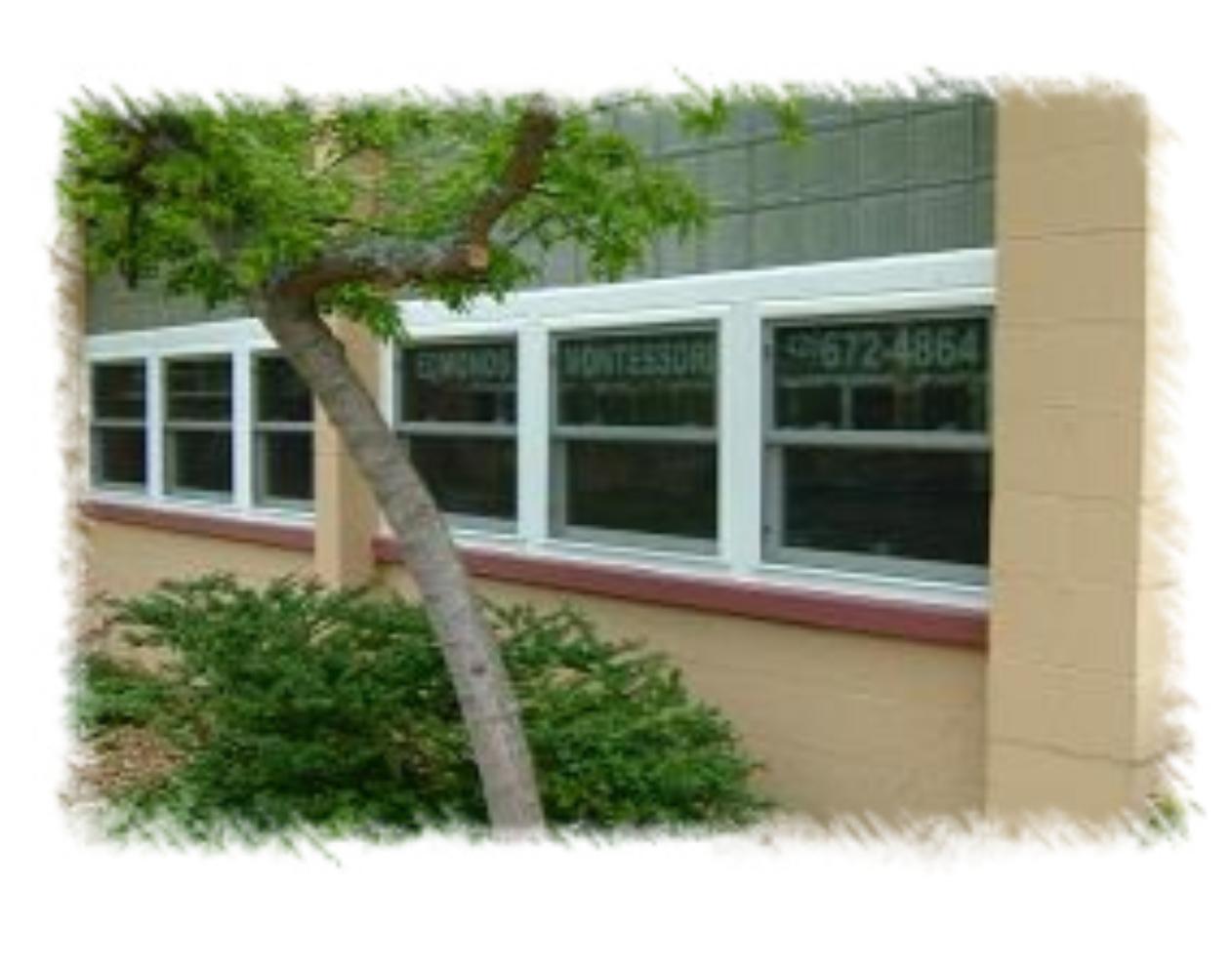 School building exterior with windows and tree.